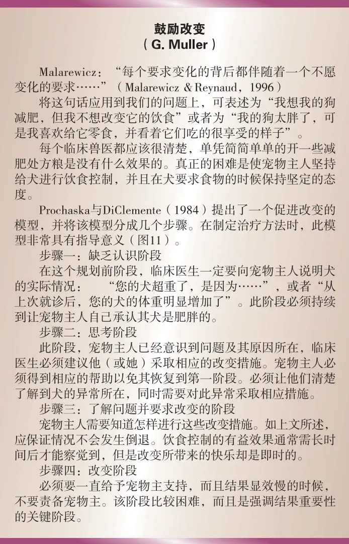 image-20230411231212996