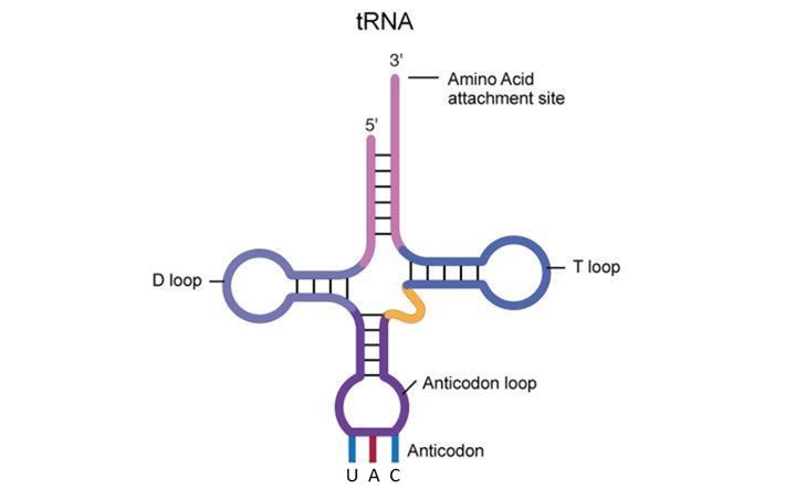 闭上眼的2020,睁开眼看2021