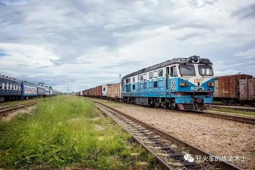 s19e12:坦赞蓝猫戏