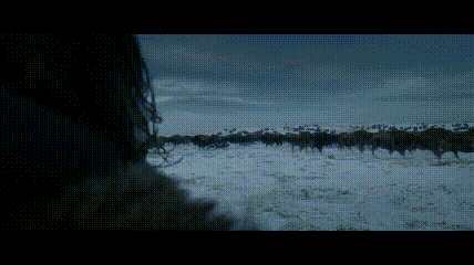 荒野猎人堆积的尸骨白人对印第安人的种族灭绝大屠杀