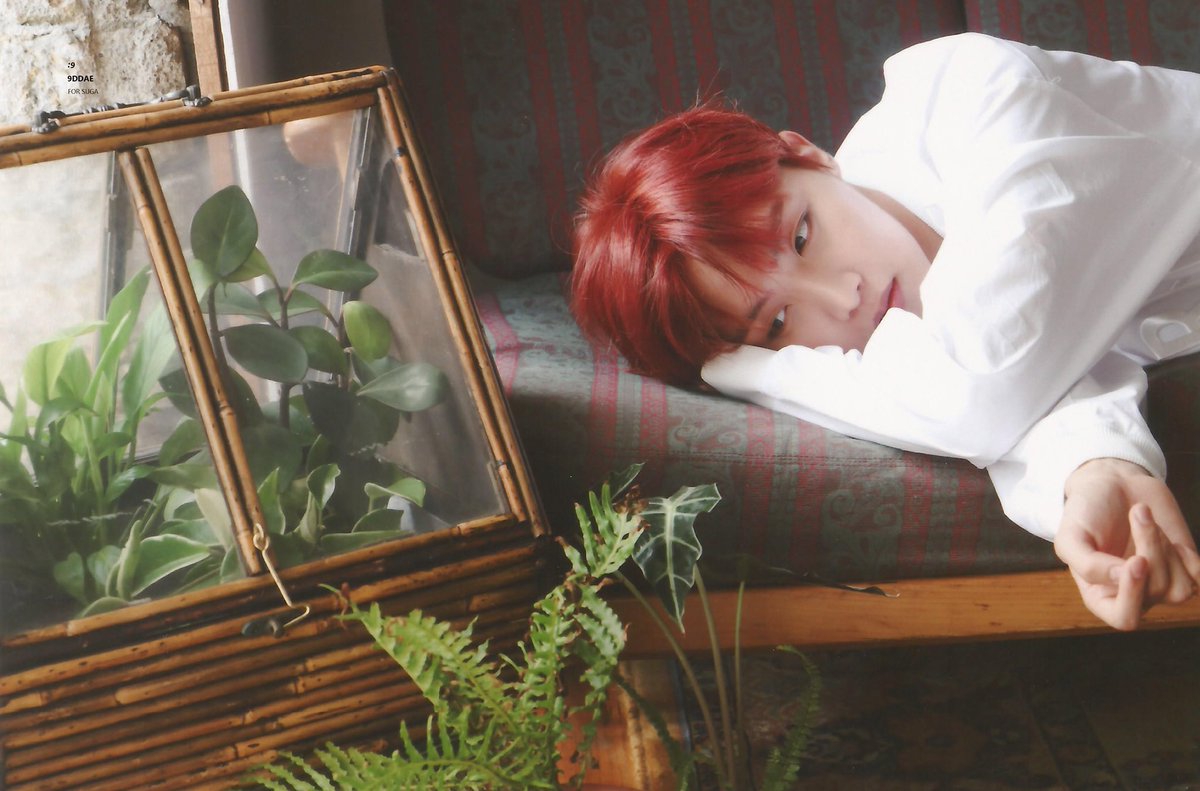 【防弹少年团×郑号锡】我爱你的选择