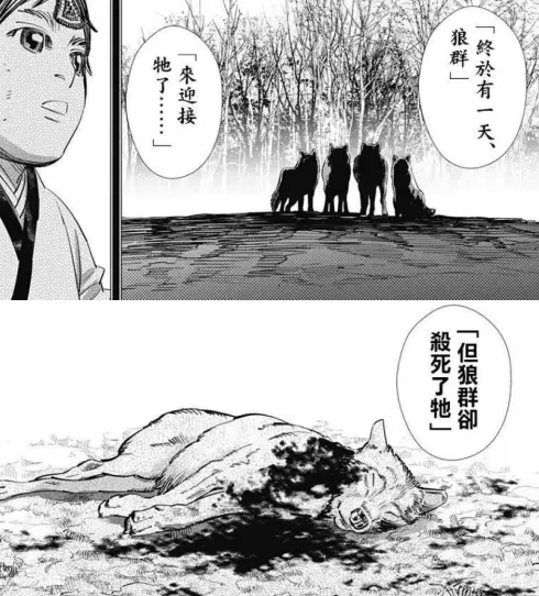 可米龙门阵 温柔又残酷的冰雪浪漫谭 黄金神威 哔哩哔哩