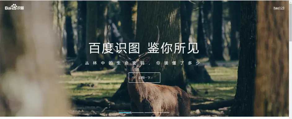 以图搜图 帮你找到原图出处 哔哩哔哩