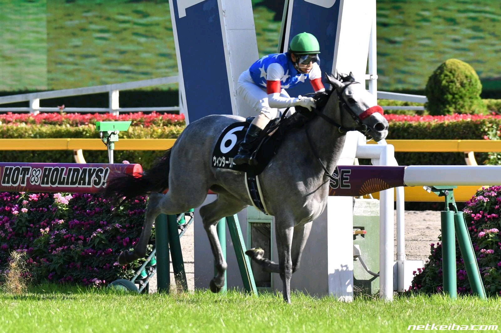 3玉藻十字血族马周报 - 哔哩哔哩