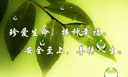 在穿越题材动漫里最劳苦功高的角色,居然是卡车司机?