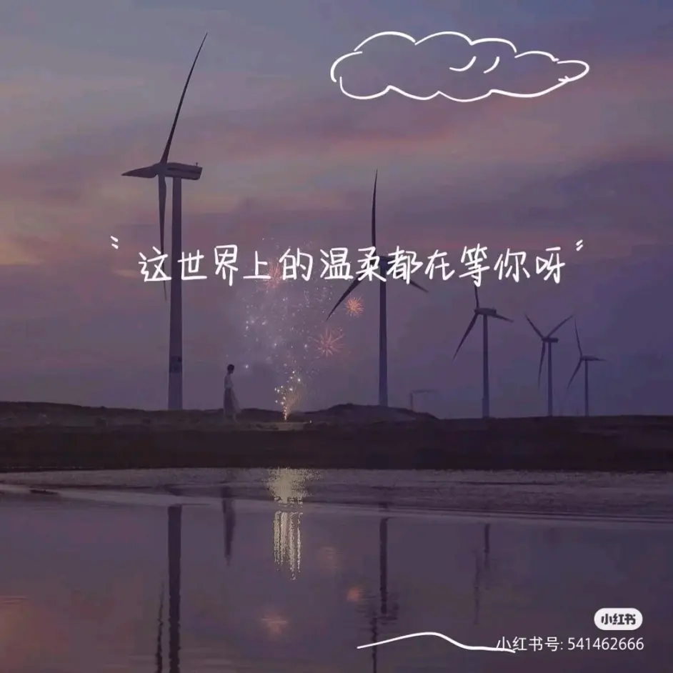 照见星星的她 哔哩哔哩