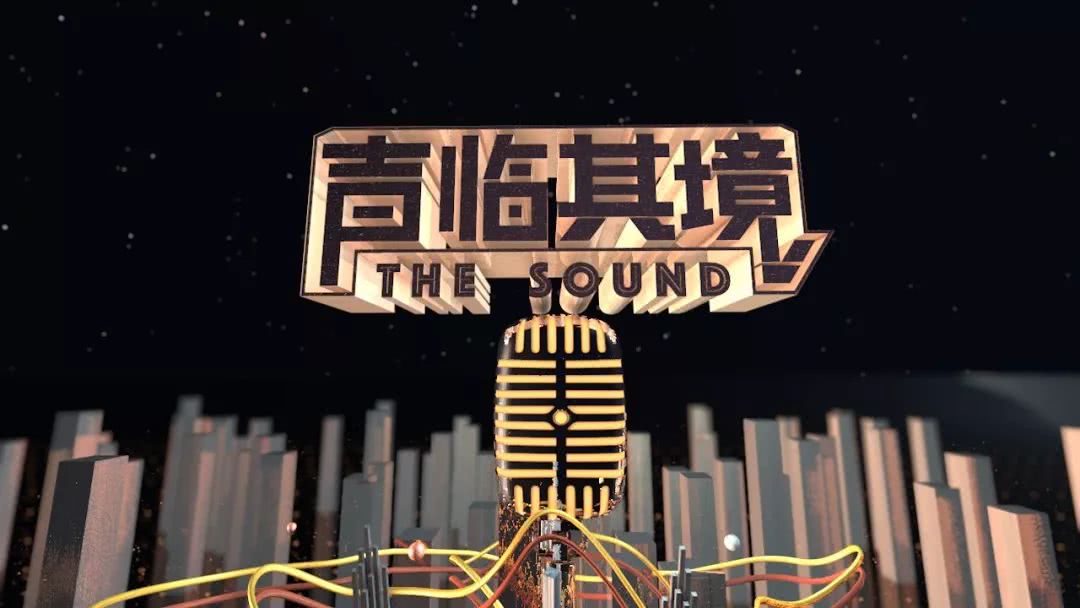 2018年度金碑奖丨小众综艺强势崛起,《声临其境》进前三