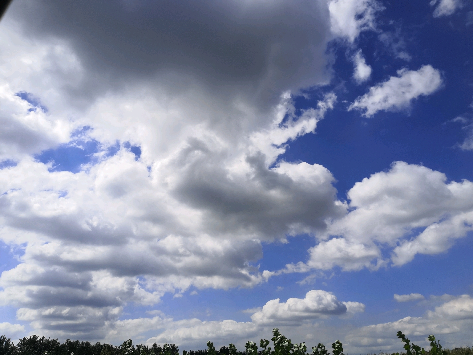感觉天空那么蓝,可惜有的人再也看不到了