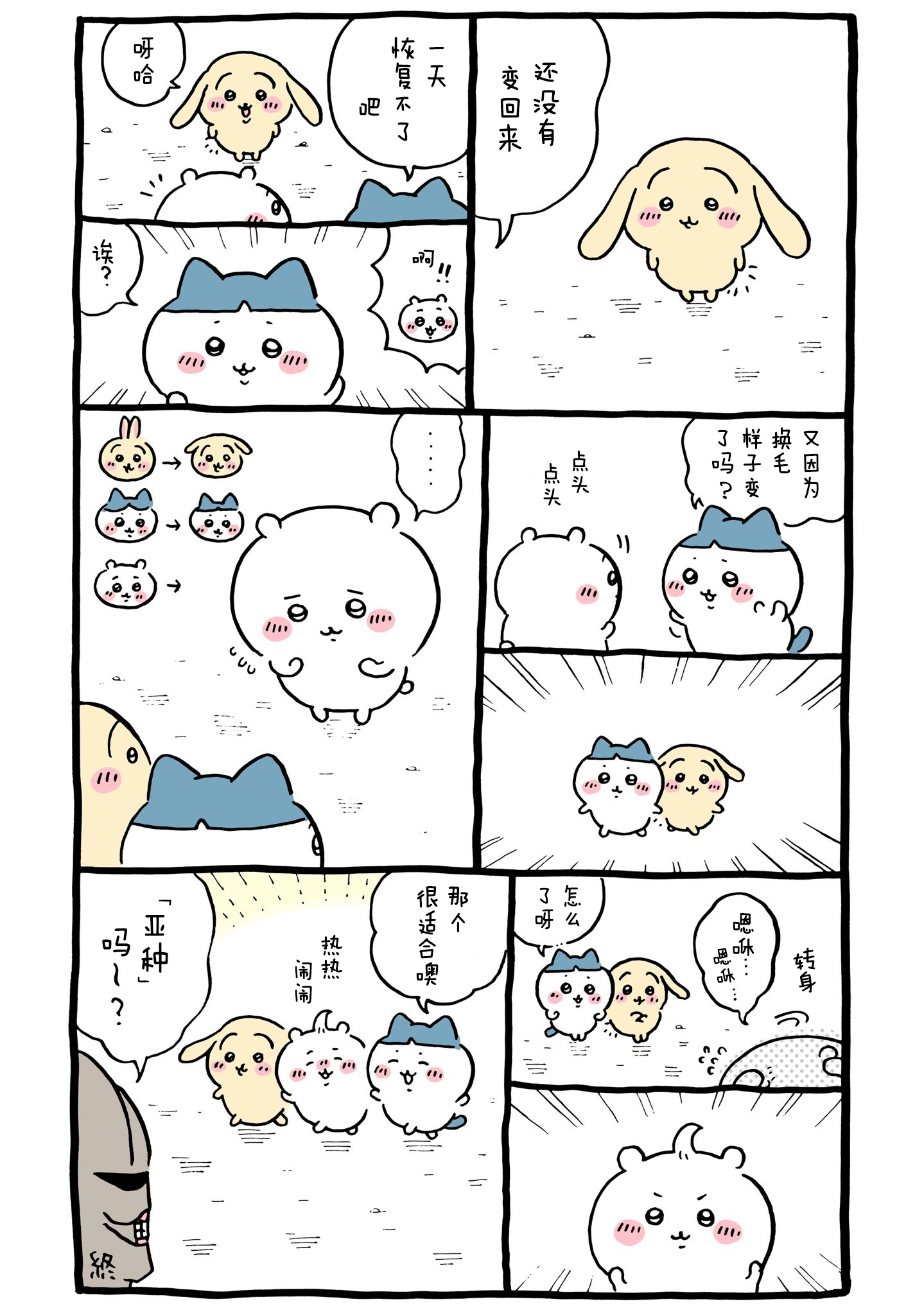 【Chiikawa/吉伊卡哇】中文漫画⑩ (2022.05.08-2022.06.10)