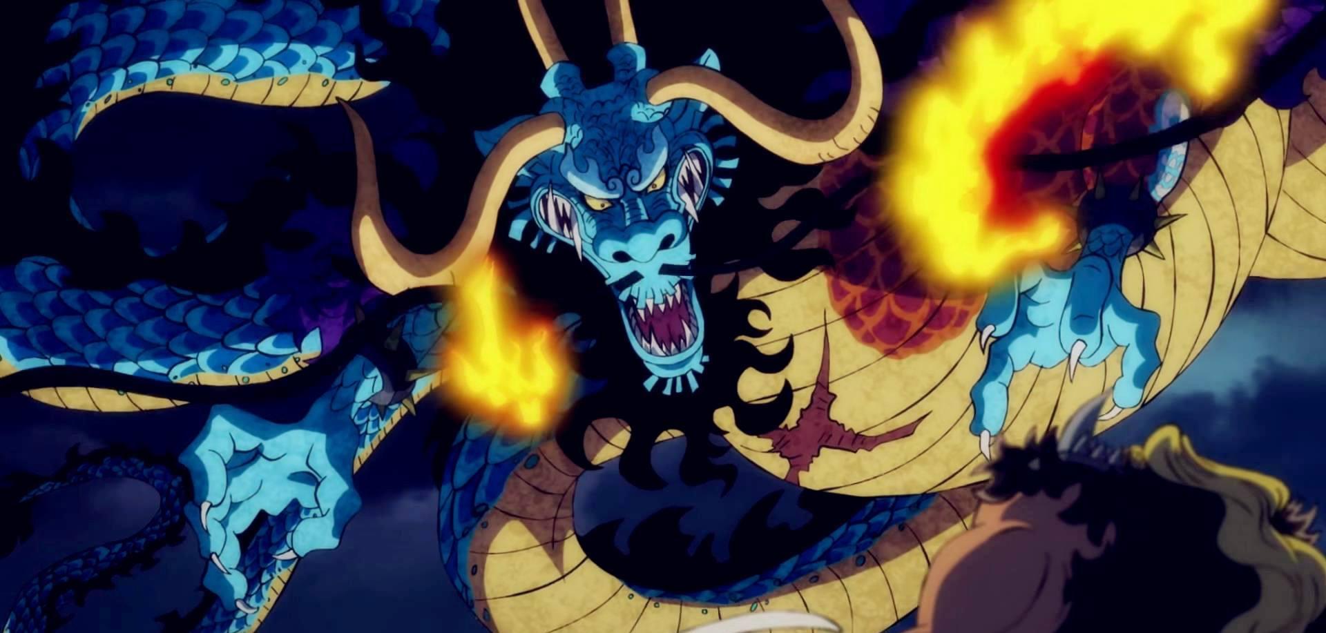 和之国9颗顶尖恶魔果实动物系鱼鱼果实最强超人系出4个bug