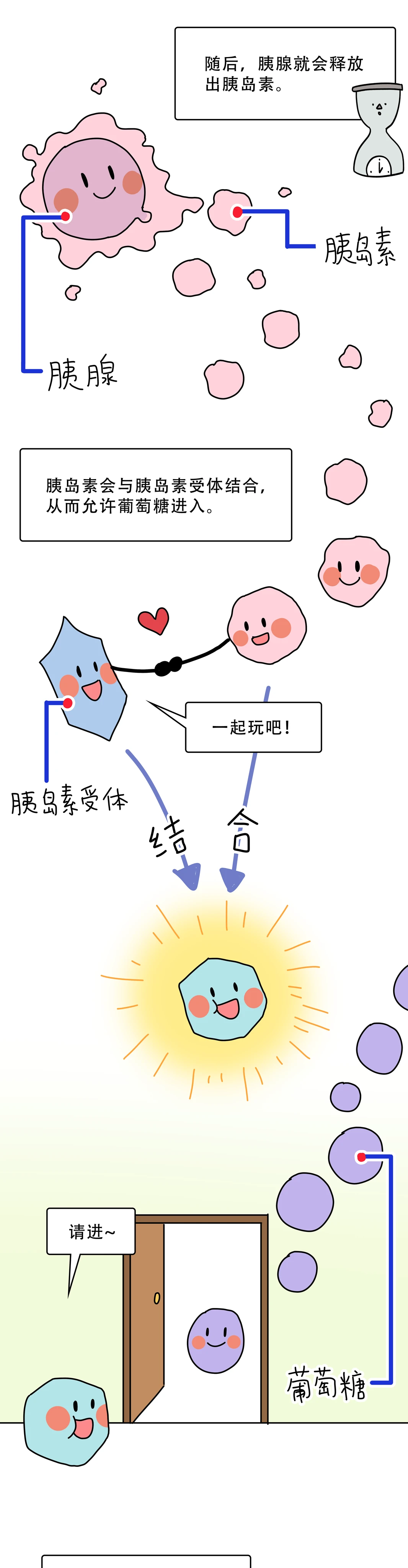 为什么一吃饱饭就犯困3