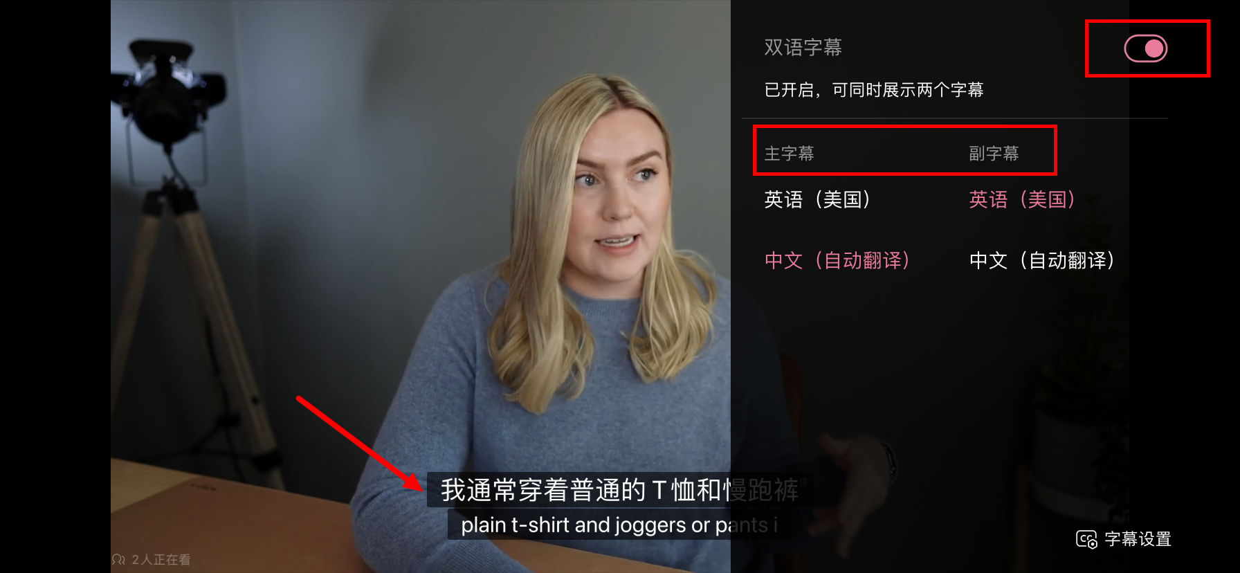 字幕翻译