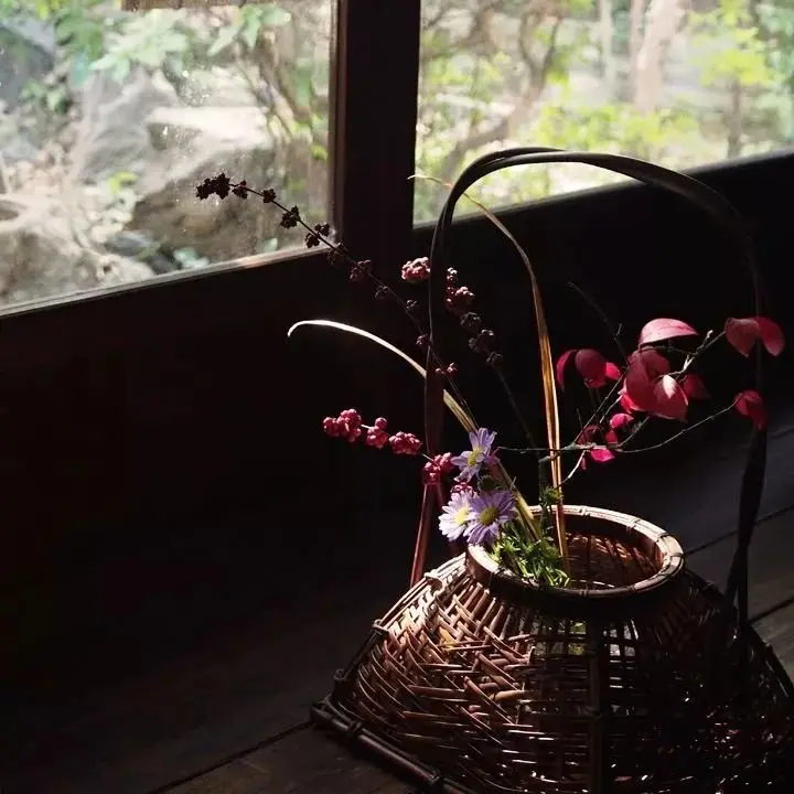 一花一世界 探寻日本花道的和谐之美 哔哩哔哩