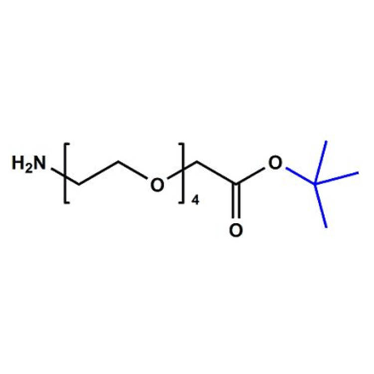 nh2-peg4-ch2cootbu-864680-64-8-peg