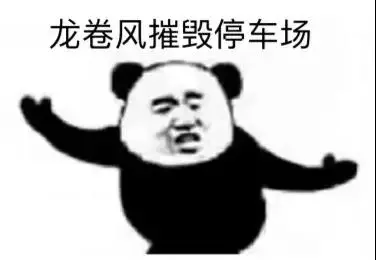 乌鸦坐飞机 到底是什么鬼啊 哔哩哔哩