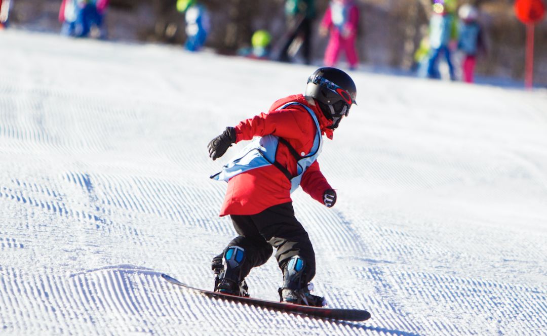 冰雪运华体会- 华体会体育官方网站- 华体会体育APP下载动小知识