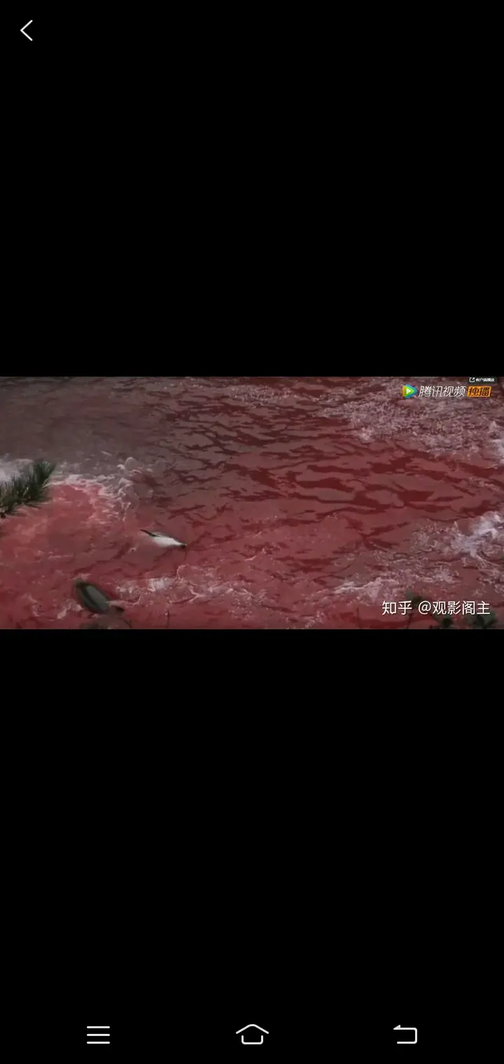 【碧蓝航线之血色海豚湾】第二章 恐怖的海豚湾大屠杀 - 哔哩哔哩