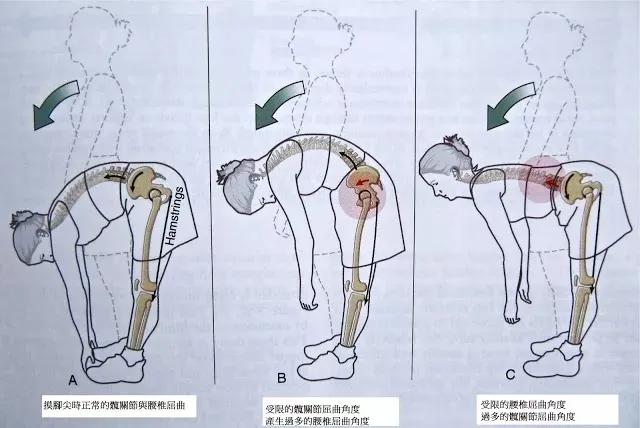 弯腰摸腿起图片