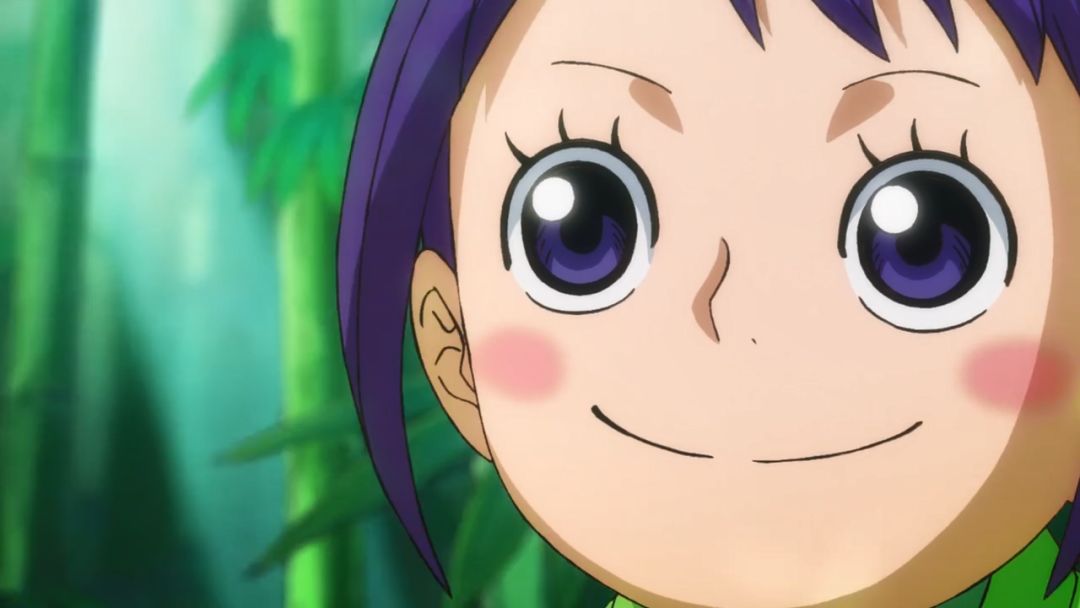 海贼王894:和之国艾斯传