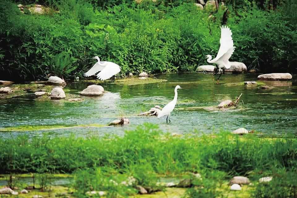 生态系统探秘：了解多样性、能量和物质循环 - 哔哩哔哩