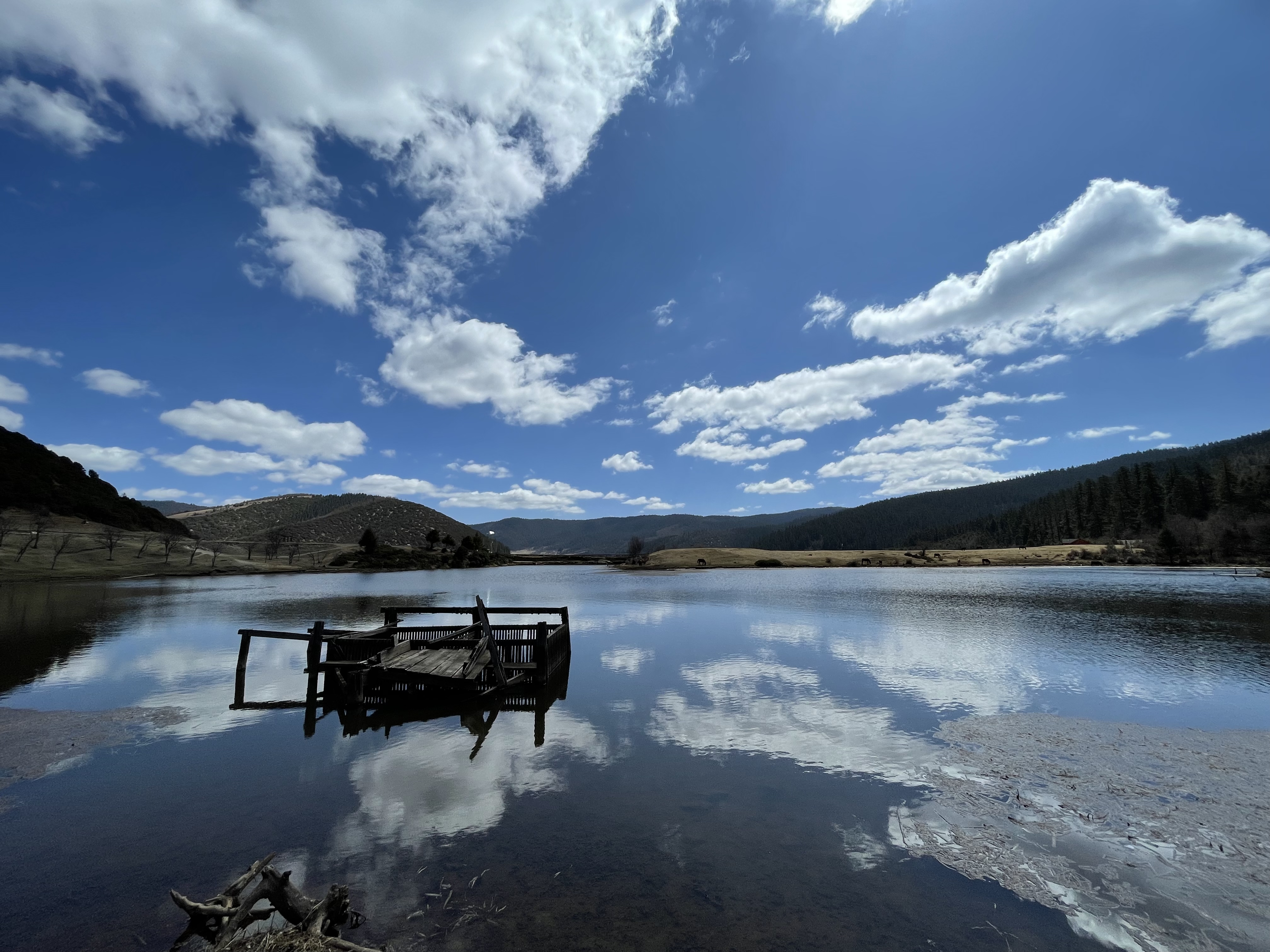 香格里拉一日游(跟着司藤来到了普达措) - 哔哩哔哩