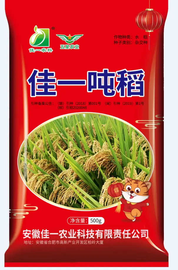 佳一吨稻高产高抗稻水稻特征