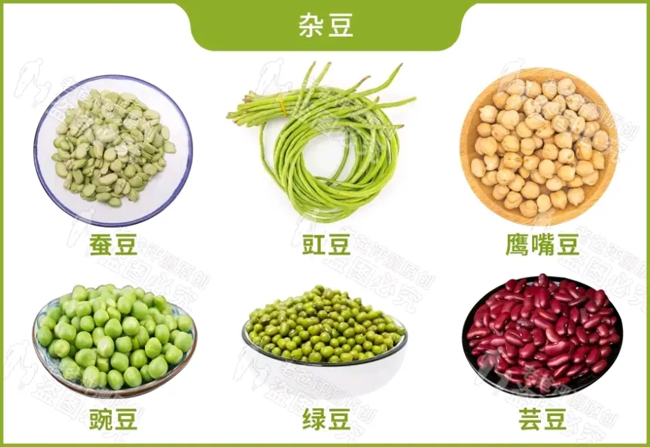 什么 豌豆不是黄豆小时候 荷兰豆是豌豆小时候 哔哩哔哩