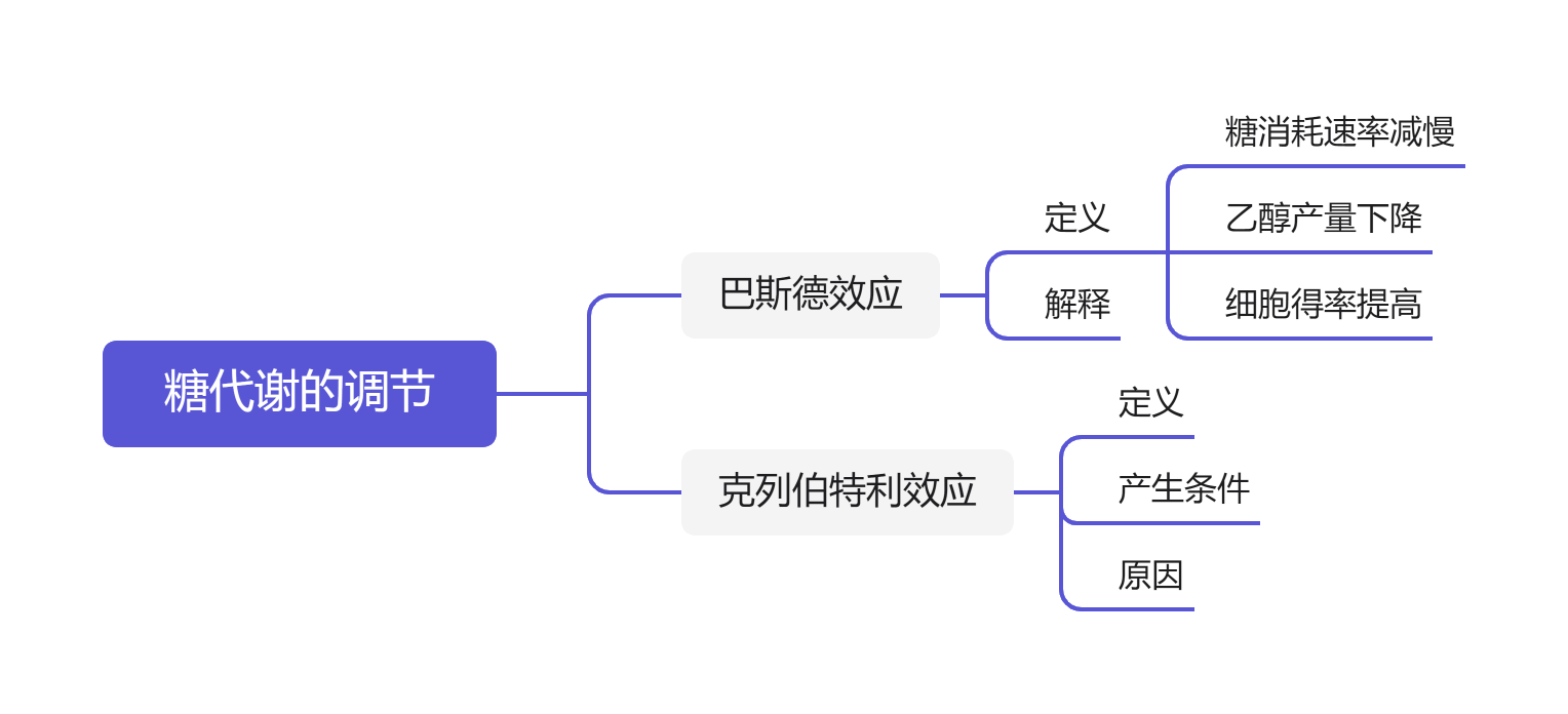 代谢调控(ecust)第三章思维导图