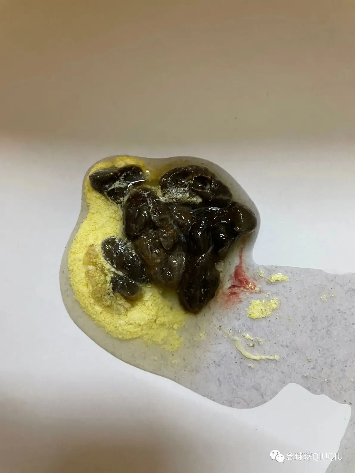 猪鼻蛇常见病防治笔记