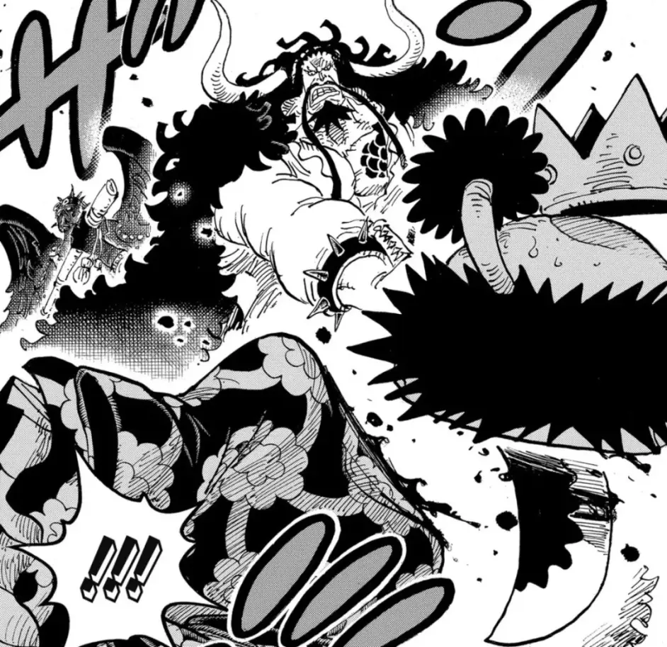 海贼王1026话细节分析 花之都如何度过难关 光月与黑炭终有一战 哔哩哔哩