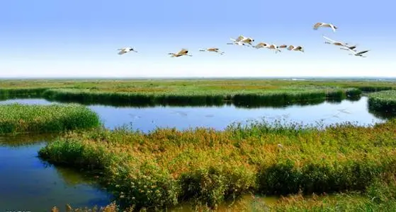 菏泽二字均与水有关 此地古代曾是湖泊沼泽吗 还真有不少大湖 哔哩哔哩 菏泽二字均与水有关 此地古代曾是湖泊沼泽吗 还真有不少大湖 哔哩哔哩