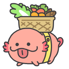 鱼说攻略|娃娃鱼参展2019国漫 ,游玩攻略都在这里!