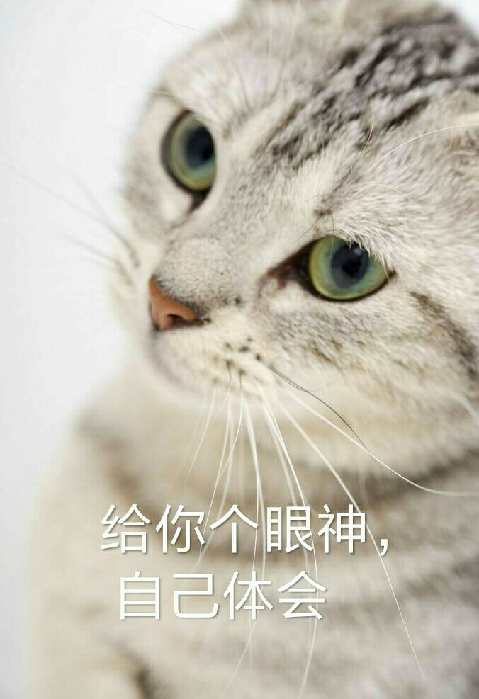 李斯的行恣睢之心梦(转载)