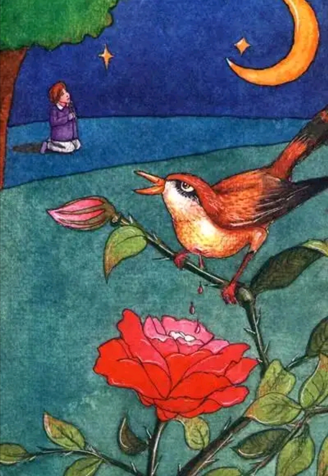 夜莺与玫瑰|插画|儿童插画|或丿丿 - 原创作品 - 站酷 (ZCOOL)