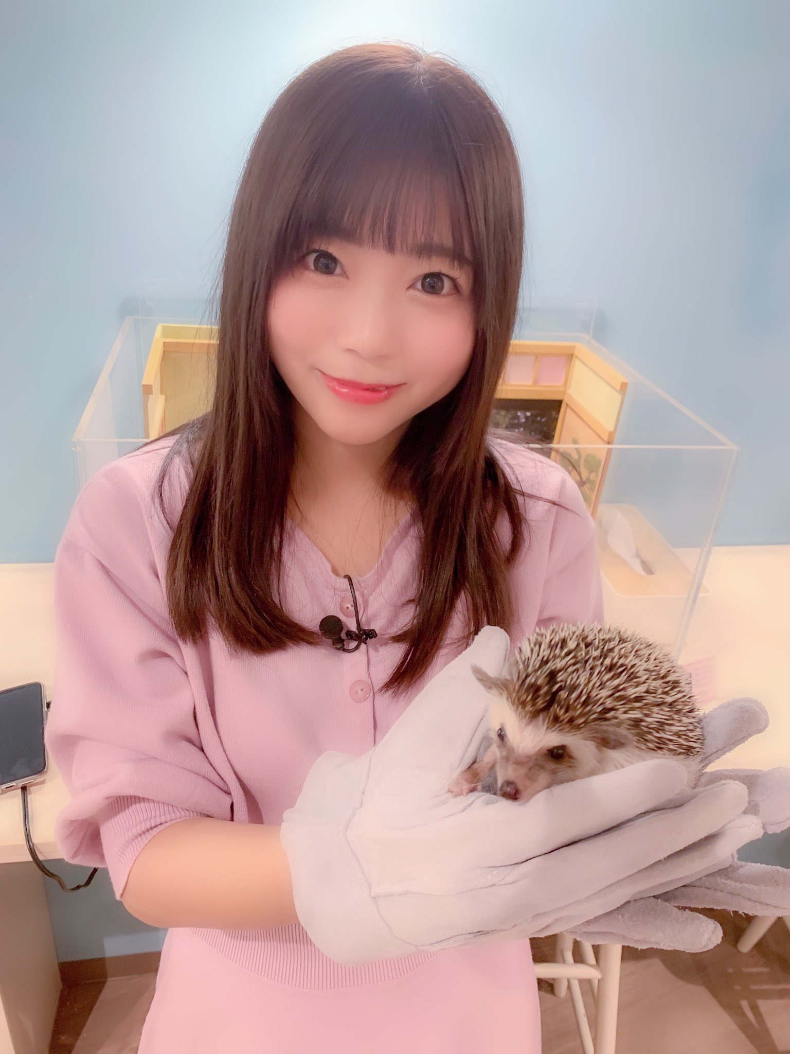 「女神每日动态」 19-02-12 三上悠亚 美谷朱里…等