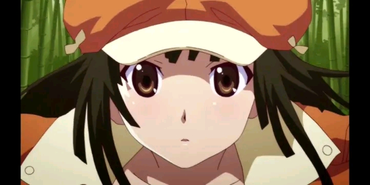 物语系列人物科普重制版第八回