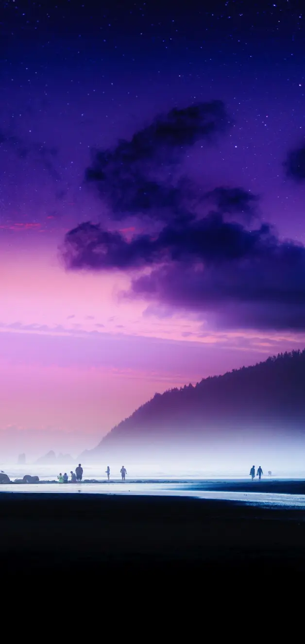 手机壁纸 紫色的清冷与神秘 哔哩哔哩