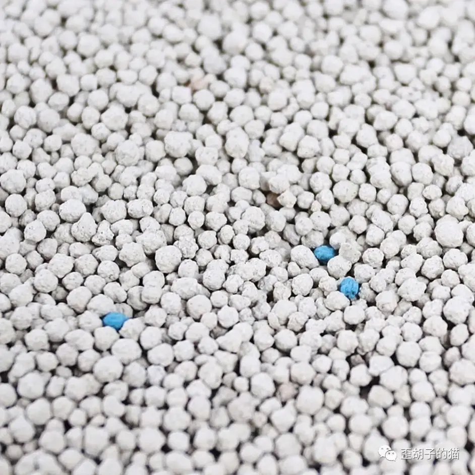 歪胡子的猫 全面带你了解猫砂 5种常见猫砂 哔哩哔哩