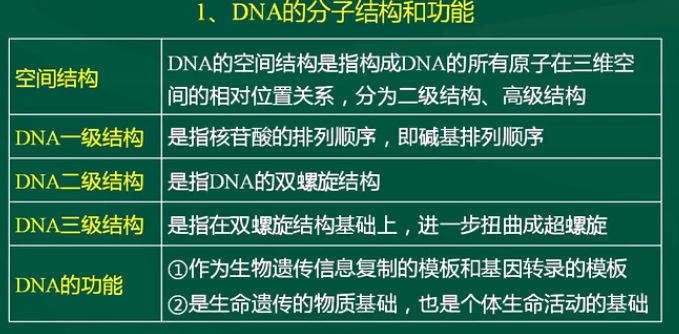 dna的分子结构和功能 2.dna双螺旋结构与实验基础 3.