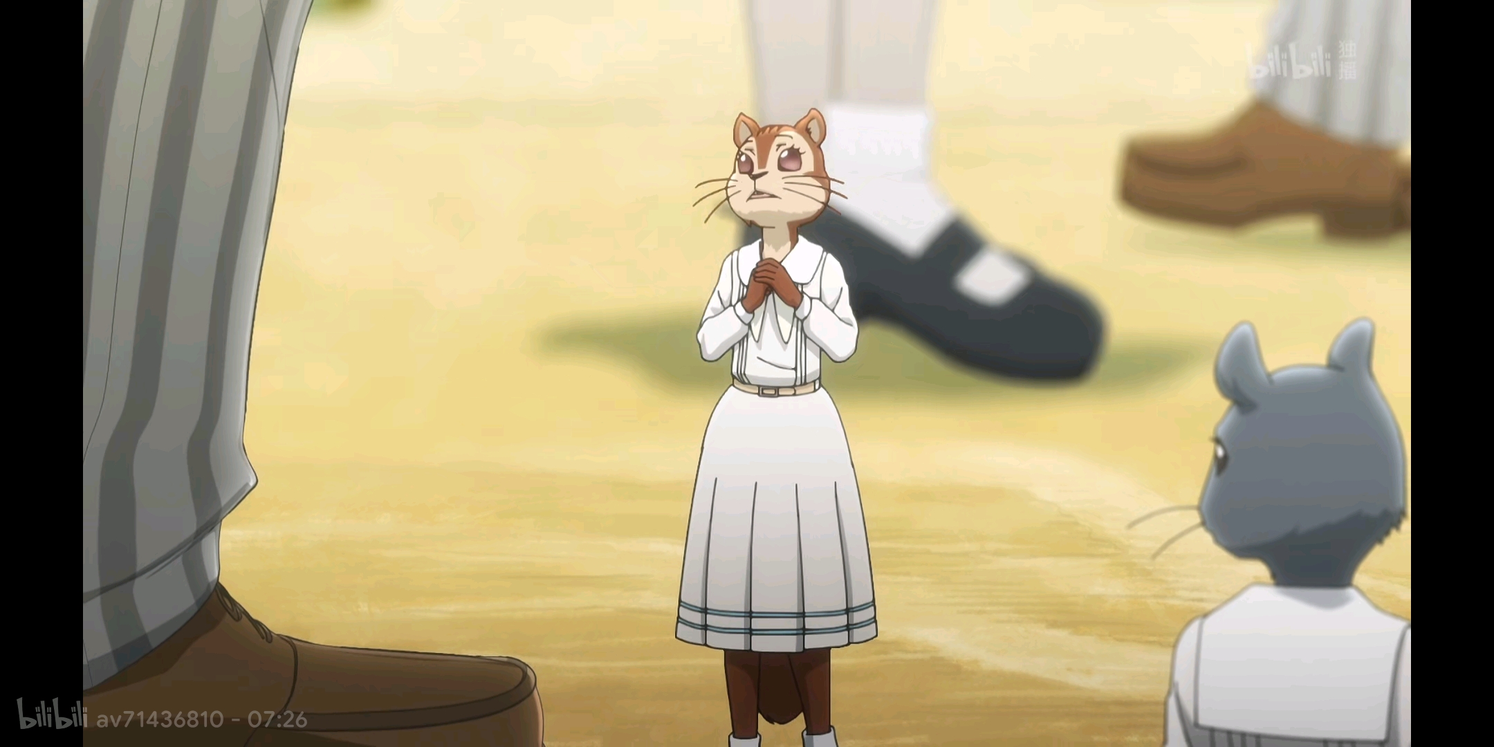 一只迷路的兔子——哈鲁