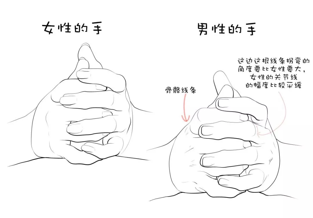 如何区分男性和女性的手?