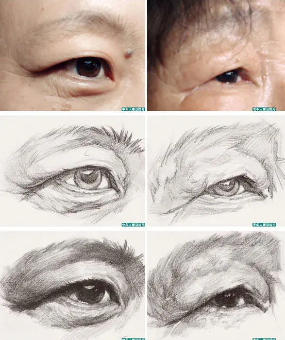 画素描重在观察和理解手把手教学 哔哩哔哩