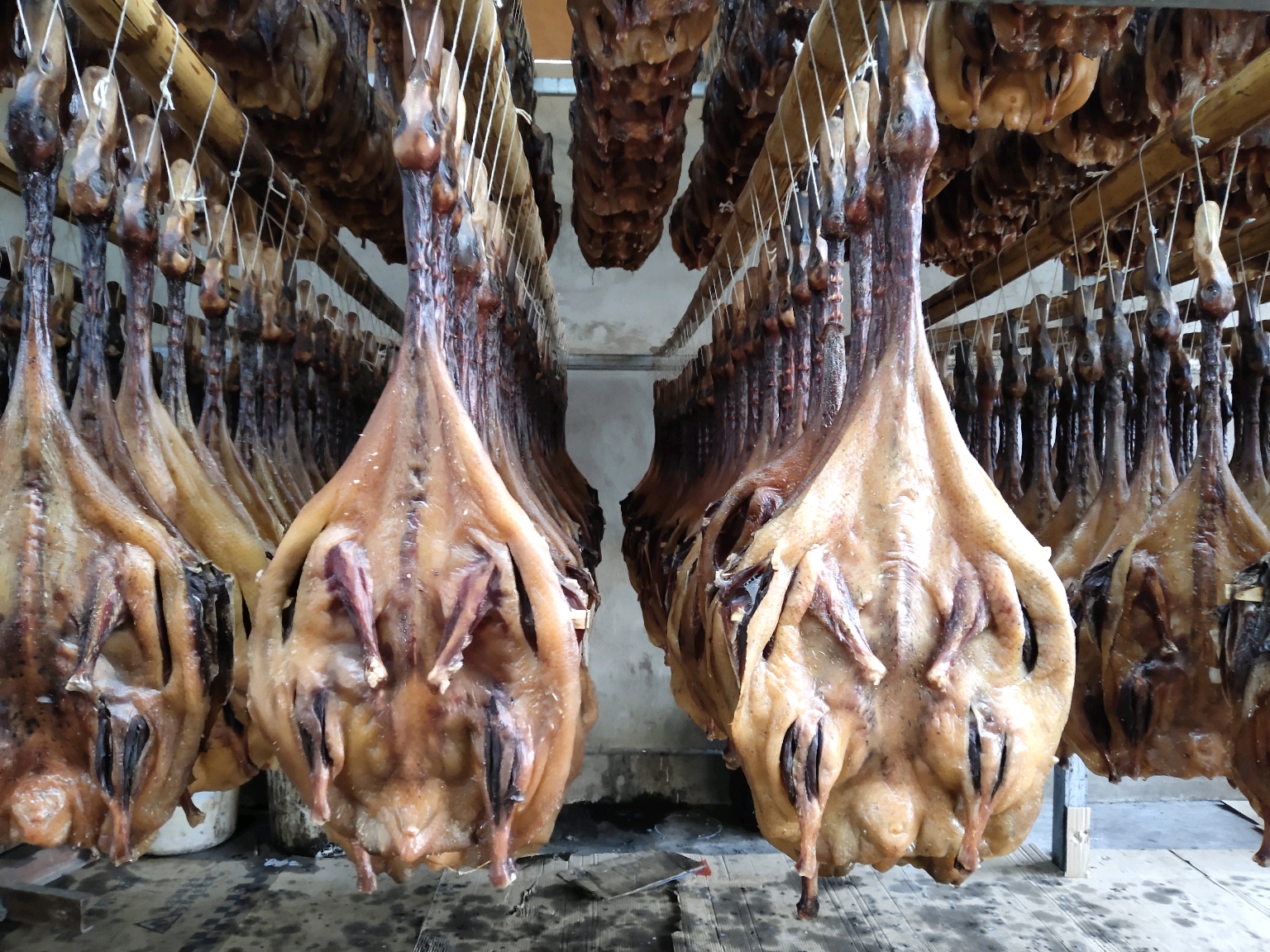 桂林会仙旧村板鸭香飘万里