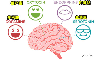生物行為分泌出各種「快樂激素」,例如人類玩遊戲上癮時分泌的多巴胺