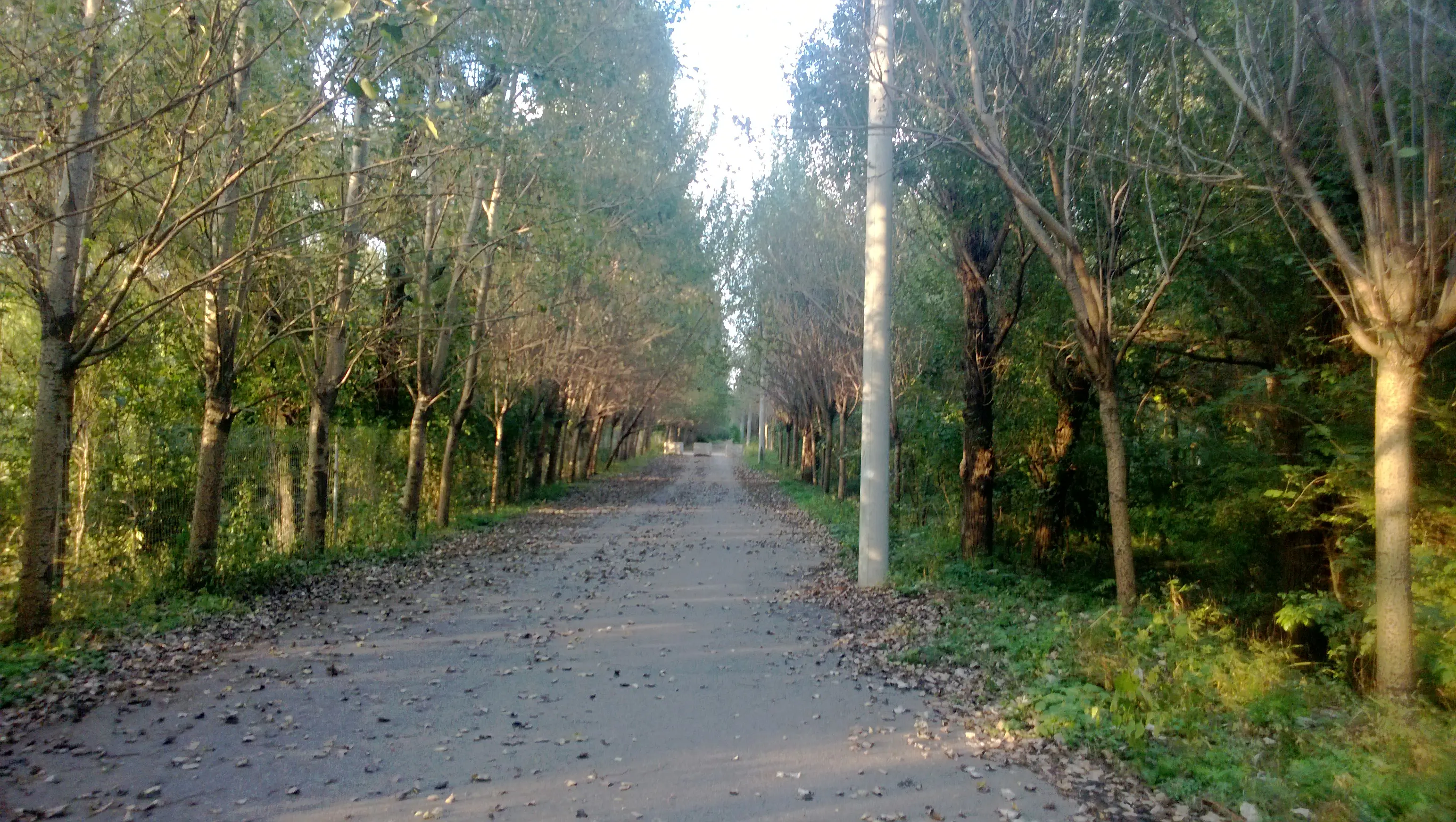 眼不见心不烦 - 哔哩哔哩