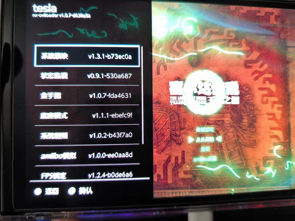 Switch 17 0 unknown pkg1 version 