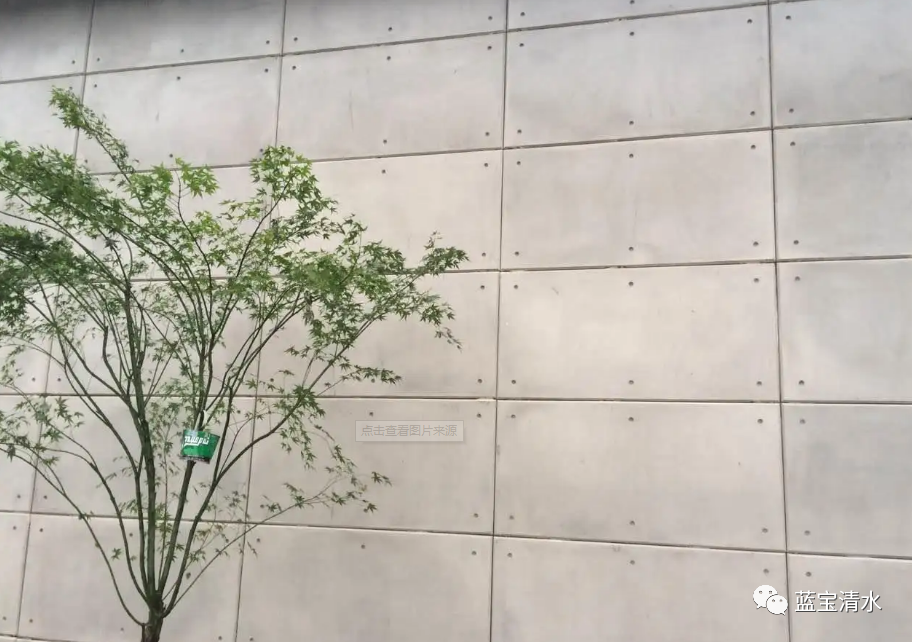清水混凝土在园林中散发着迷人的香气 - 哔哩哔哩