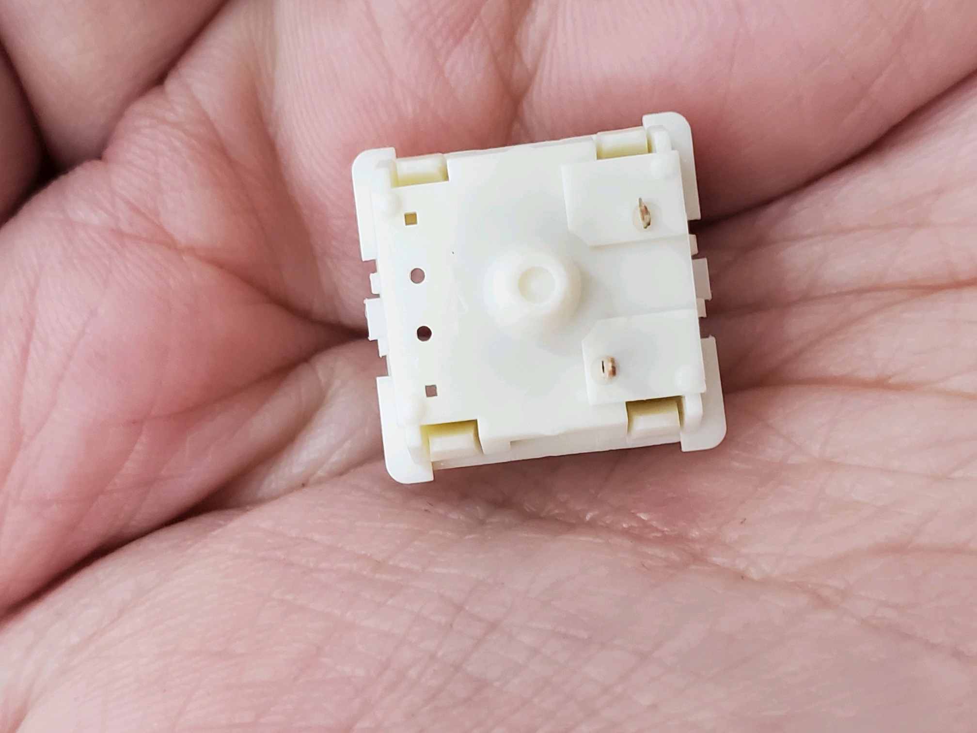 你们心心念念的利奥波德自主轴极星灰轴