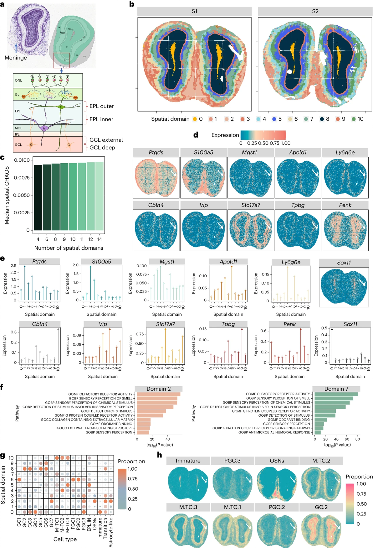 Nature Methods Iris：针对空间转录组学，进行高效且精确的整合参考信息的空间区域 哔哩哔哩 2700