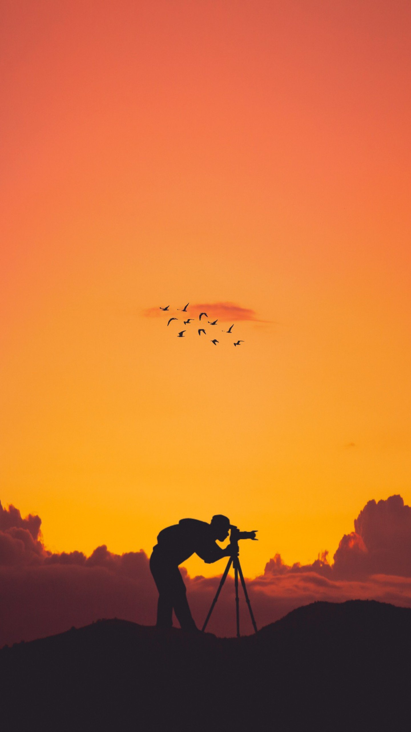 【1】简洁的爱(壁纸安利)